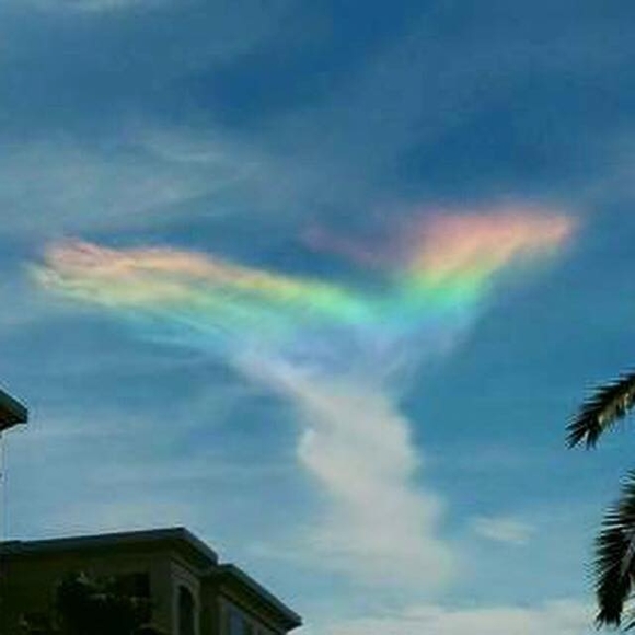 Meet your Posher, Shannon - Picture 1 of 1